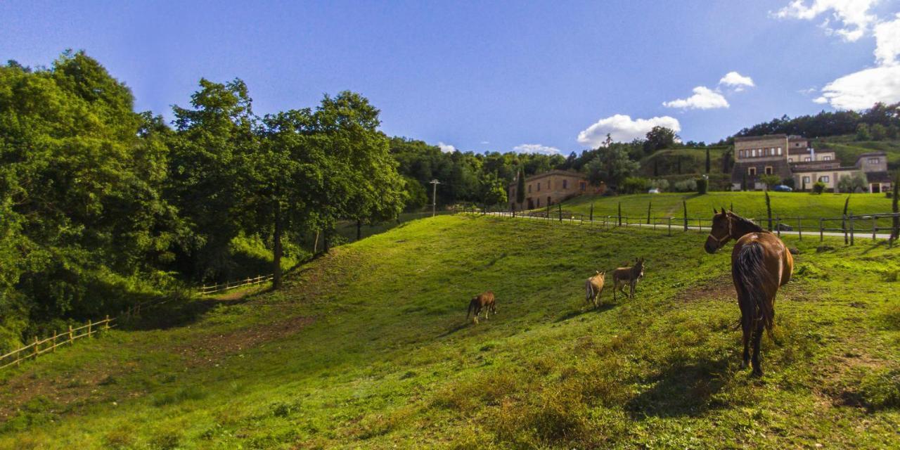Agriturismo Rio Coverino Borghetto  外观 照片